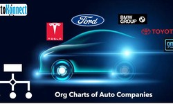 How to Connect with Key Decision-Makers of Auto Giants? Leverage Auto-Based Org Charts