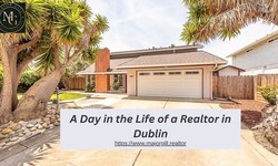 A Day in the Life of a Realtor in Dublin