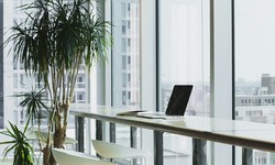 How a Pristine Environment Boosts Employee Productivity