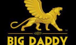 "Top 10 Big Daddy Game Levels You Need to Master"