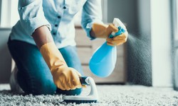 Best Cleaning Services in Adelaide