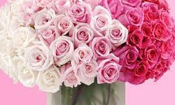 The Impact of Fresh Flowers on Mental Health and Wellbeing