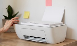 How to Transition from Printer Purchase to Printer Lease for Small Businesses