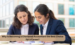 Why is Becoming a Chartered Accountant the Best Choice for a Career?