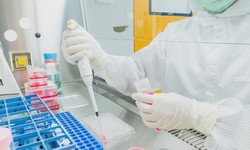 8 Steps to Launching a Cleanroom Company in Jordan
