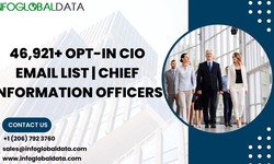 Maximizing Reach: Strategies for Amplifying Your Email Marketing Efforts with CIO Email List