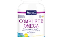Nutritional Strategies for Aging Gracefully and Healthily