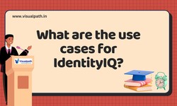 Sailpoint Online Training | Sailpoint Identity IQ Course