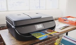 How to Setup HP LaserJet P1102w WiFi: Guide 2024