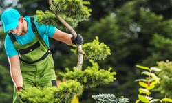12 Reasons to Choose Hardscape Landscaping for Your Riyadh Property