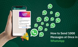 How to Send 1000 Messages at Once in WhatsApp Without Broadcast