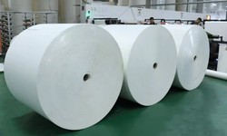 Reliable Paper Roll Supplier: Meeting Bulk Paper Requirements with Ease