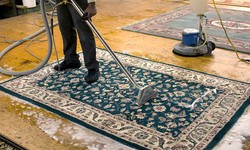Choosing the Best Carpet Cleaning Service - What to Look For