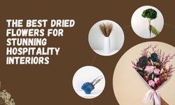 The Best Dried Flowers for Stunning Hospitality Interiors