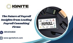 The Future of Payroll Insights from Leading Payroll Consulting Firms