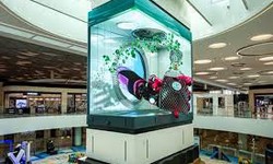 3D LED Screens in China: Advancements and Market Insights