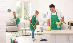 Move-In Move-Out Cleaning - Addressing Stubborn Stains and Odors