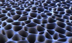 Polymeric Membrane: Development in Blood Purification Devices