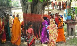 Why is the Peepal tree worshipped in Sanatan Dharma?