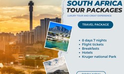 Top 10 South Africa Couple Packages You Can't Miss in 2024