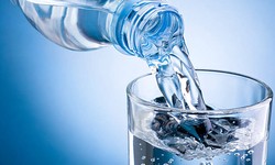 Pharmaceutical Water: Addressing Waterborne Contaminants