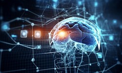 Sentiment and Emotion Analysis Software: Enhancing User Experience