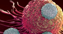 EZH2 Inhibitors: Biomarkers for Predicting Treatment Response