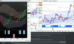 Currency Trading Courses by Experts at NP Financials
