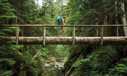 How Do Leading Nonprofits Tackle Environmental Issues?