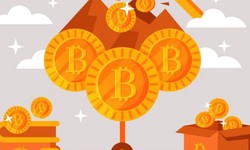The Future of Naira to Bitcoin Exchange Rates: What to Expect in 2024