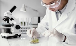 Exploring Protein G Agarose Beads for Effective Protein Purification
