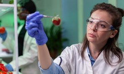 Advancements in Recombinant Protein Production Services