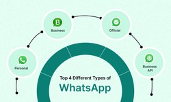 Top 4 Different Types of WhatsApp (2024)