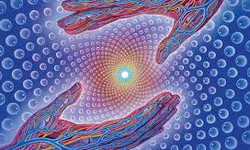 Exploring the Hakomi Method Training: Why Embodywise Offers the Best Comprehensive Training