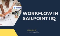 Sailpoint Online Training | Sailpoint Training in Ameerpet