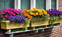 Top Window Box Ideas: Stunning Flowers and Plants for Every Season