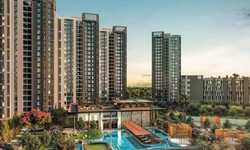 Emaar Business District 65NXT: Investing in commercial real estate