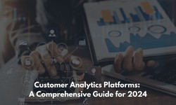 Customer Analytics Platforms: A Comprehensive Guide for 2024