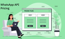 Breaking Down the Costs: Insights at WhatsApp API Pricing (2024)