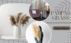 Unlock the Fabulous Secrets of Dried Pampas Grass to Decorate Your Home