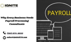 Why Every Business Needs Payroll Processing Consultants — Ignite HCM