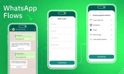 WhatsApp Flows: The Future of Customer Interaction