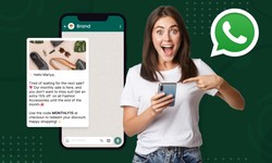 Learn About These WhatsApp Marketing Campaign Examples And Get Inspired