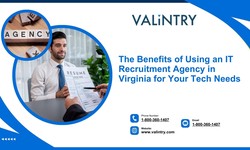 The Benefits of Using an IT Recruitment Agency in Virginia for Your Tech Needs