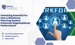 Unlocking Potential For How a Workforce Planning System Enhances Organizational Performance