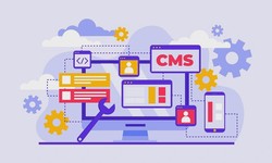 A Comprehensive Guide to Custom WordPress Development