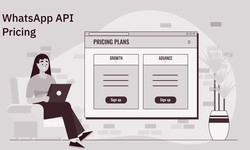 WebMaxy WhatsApp Commerce - WhatsApp Business API Pricing Structure