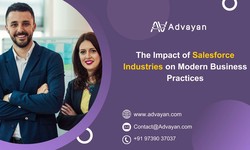 The Impact of Salesforce Industries on Modern Business Practices