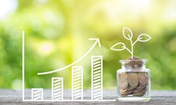 How Do Investment Managers Help You Grow Your Money?