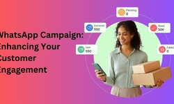 WhatsApp Campaign by WebMaxy: A Game-Changer for Your Business